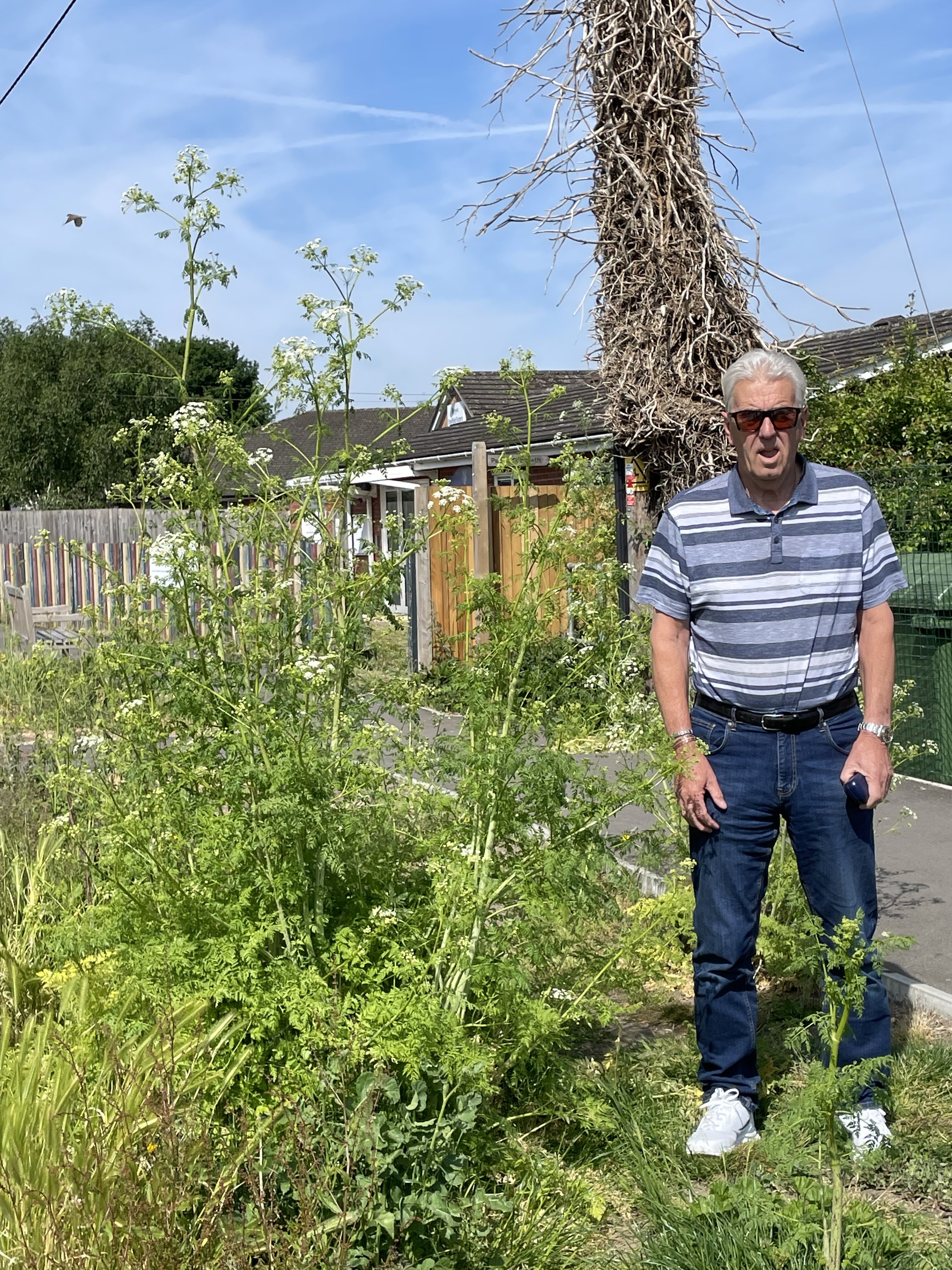 Wheelers Lane Gardening